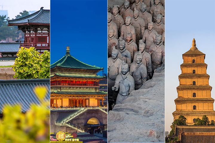 图片4.png 图片4.png